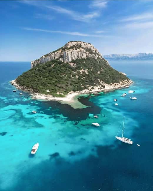 Olbia: Dolphin Watching & Snorkeling Boat Tour near Figarolo - Who should book this trip
