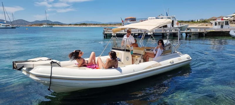 Olbia: Dolphin Watching & Swim and snorkel in Capo Figari - Key points to know before you go