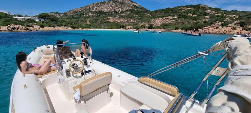 Olbia: Dolphin Watching & Swim and snorkel in Capo Figari - Why the Figarolo dolphin route is worth your time