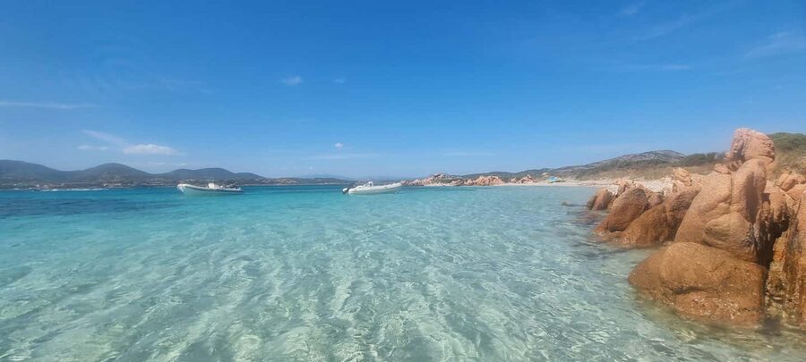 Olbia: Dolphin Watching & Swim and snorkel in Capo Figari - What the guide adds to the experience