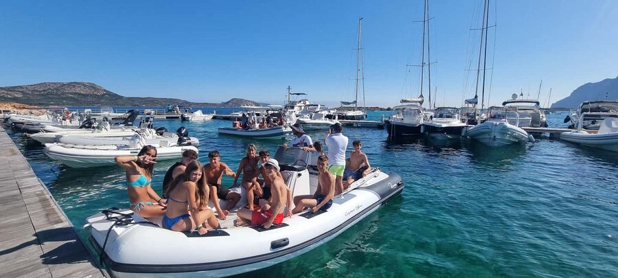 Olbia: Dolphin Watching & Swim and snorkel in Capo Figari - Who will enjoy this Olbia boat trip