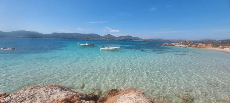 Olbia: Dolphin Watching & Swim and snorkel in Capo Figari - Starting at MOYS Marina in Olbia