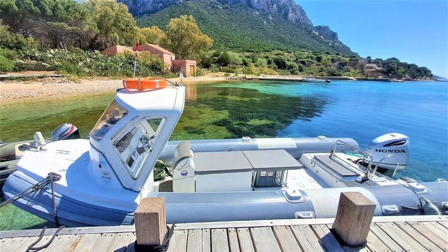 Olbia: Dolphin Watching Tour with Figarolo Island Snorkeling - Should you book the Figarolo dolphin tour?