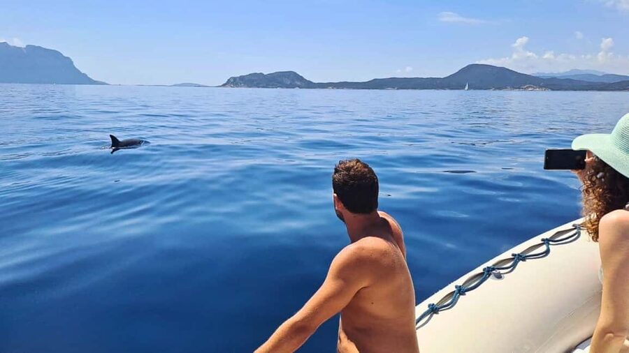 Olbia: Dolphin Watching Tour with Figarolo Island Snorkeling - Snorkeling below the Capo Figari promontory