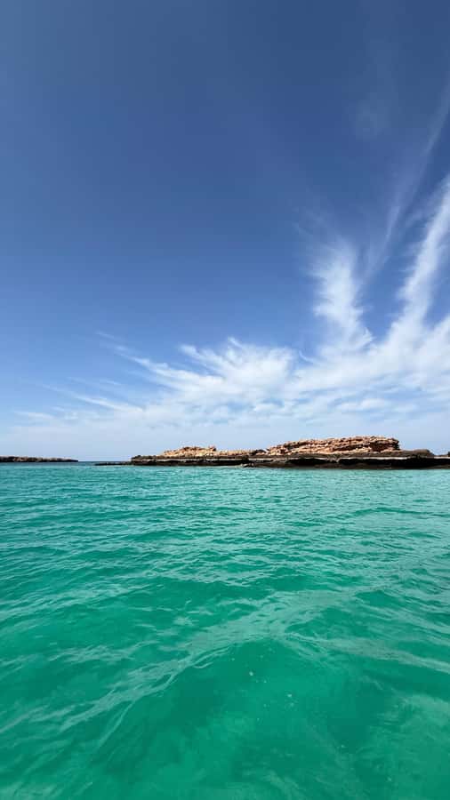 Oman: Daymaniyat Islands Visit and Snorkeling - First snorkeling session: turtles, fish, and reef life