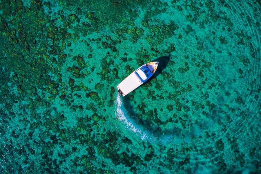 Oman: Snorkeling Trip at Daymaniyat Islands - What is included for $94