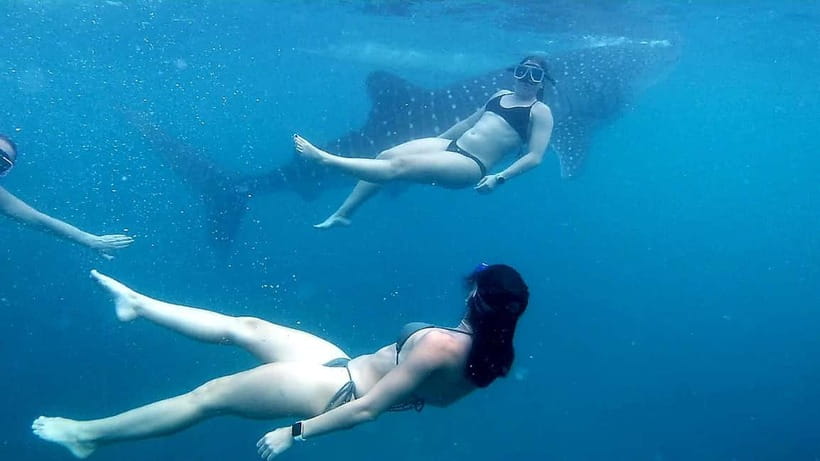 Oslob: Whale Shark Tour with Sumilon & Moalboal Snorkeling - Sumilon Island and the shifting sandbar