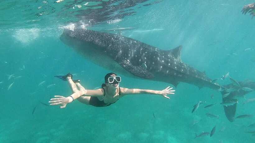Oslob: Whale Shark Tour with Sumilon & Moalboal Snorkeling - Practical ways to make the day easier