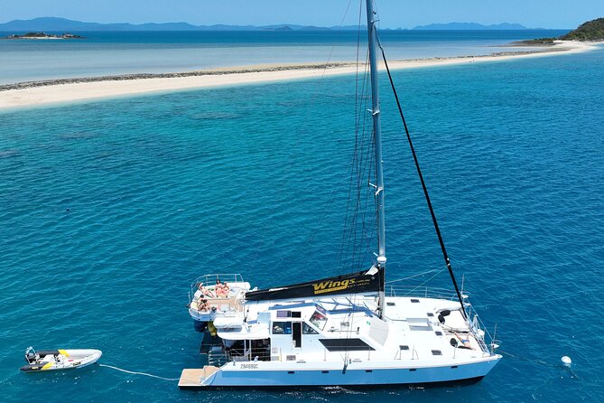Outer Great Barrier Reef Snorkel Adventure in Airlie Beach - What you might see beneath the surface