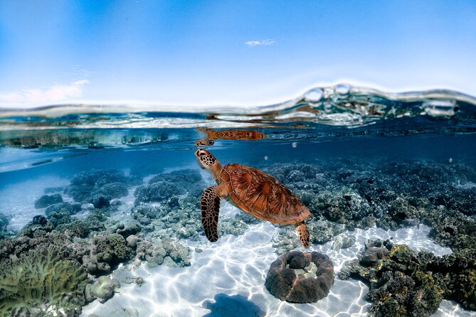 Outer Reef Mackay Cay Sail & Snorkel Adventure from Port Douglas - A full day with food built in