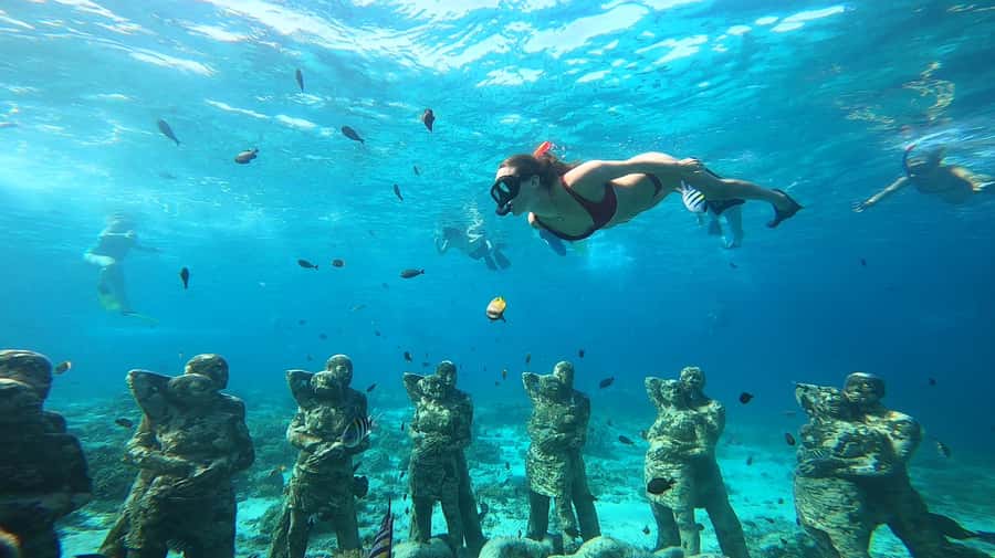 Ozzy Snorkeling 3 Islands Visit Baby Turtles - Key points to know before you book