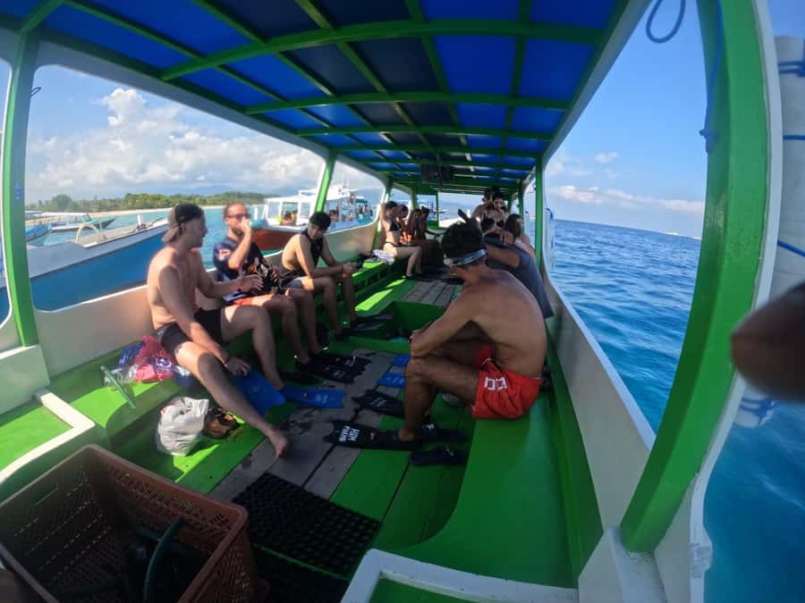 Ozzy Snorkeling 3 Islands Visit Baby Turtles - Who will enjoy this trip most