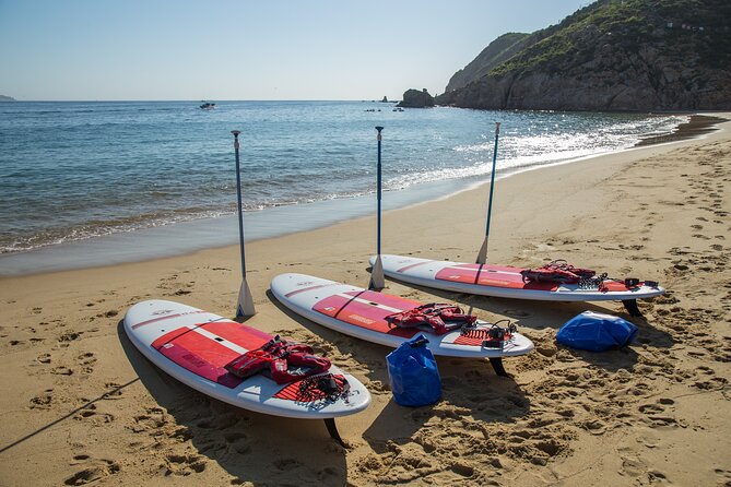 Paddleboard Expedition to the Arch of Cabo San Lucas, Lovers Beach & Snorkel - Who will enjoy this outing most