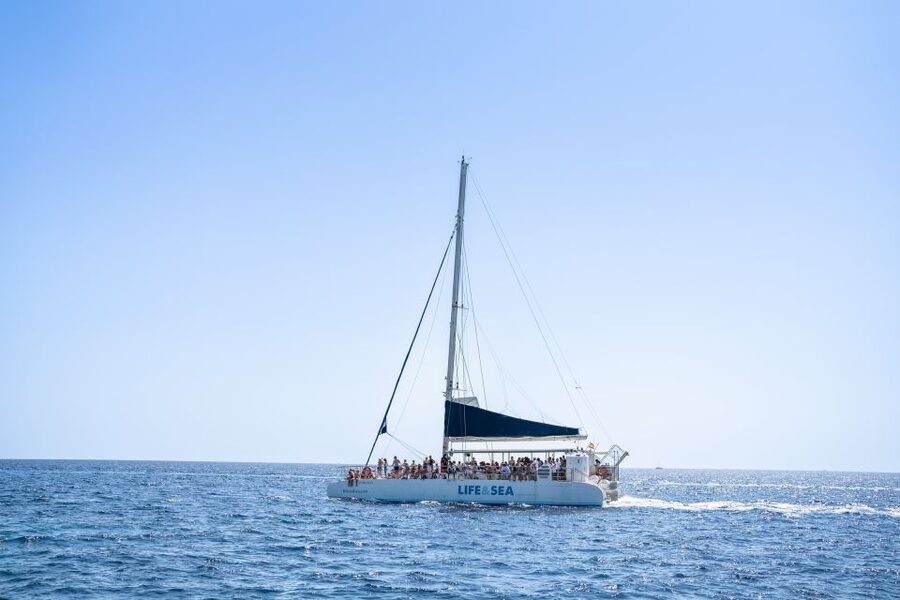 Palma: Catamaran Cruise with Swimming and Snorkelling - Cap Enderrocat and Cala Vella by water