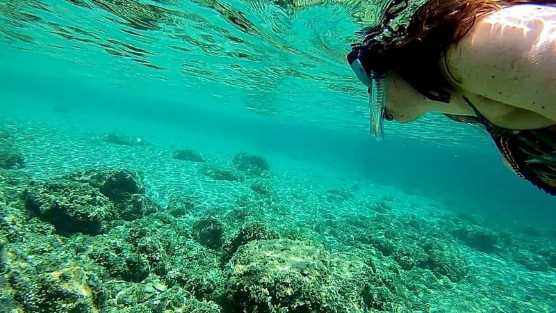 Palma de Mallorca: Private Boat Tour with Snorkel and Paddle - Cala Vinyes and Cala Bella Dona