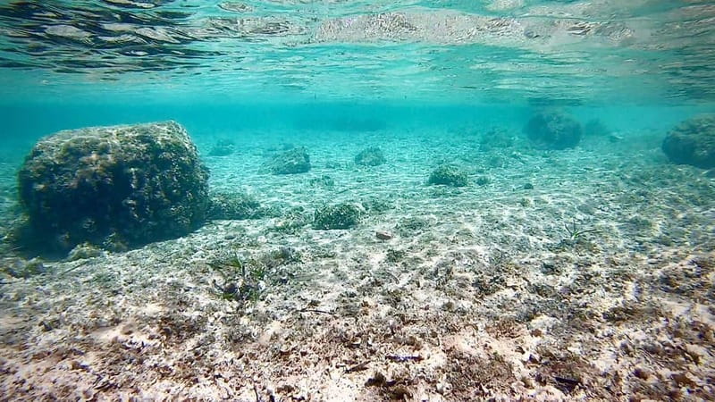 Palma de Mallorca: Private Boat Tour with Snorkel and Paddle - What is included, and what you may add
