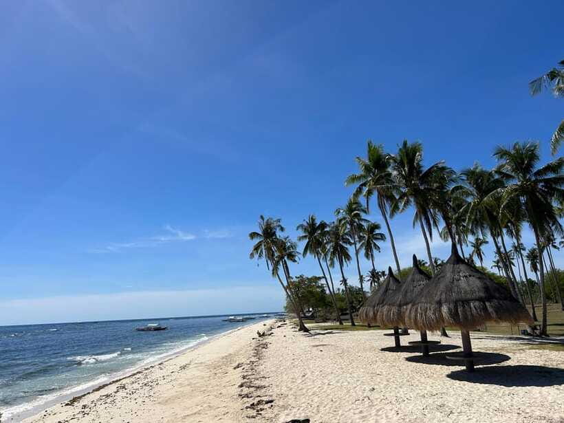 Pamilacan island: Dolphins, snorkel, lunch and walking tour - A 45-minute walk through island life