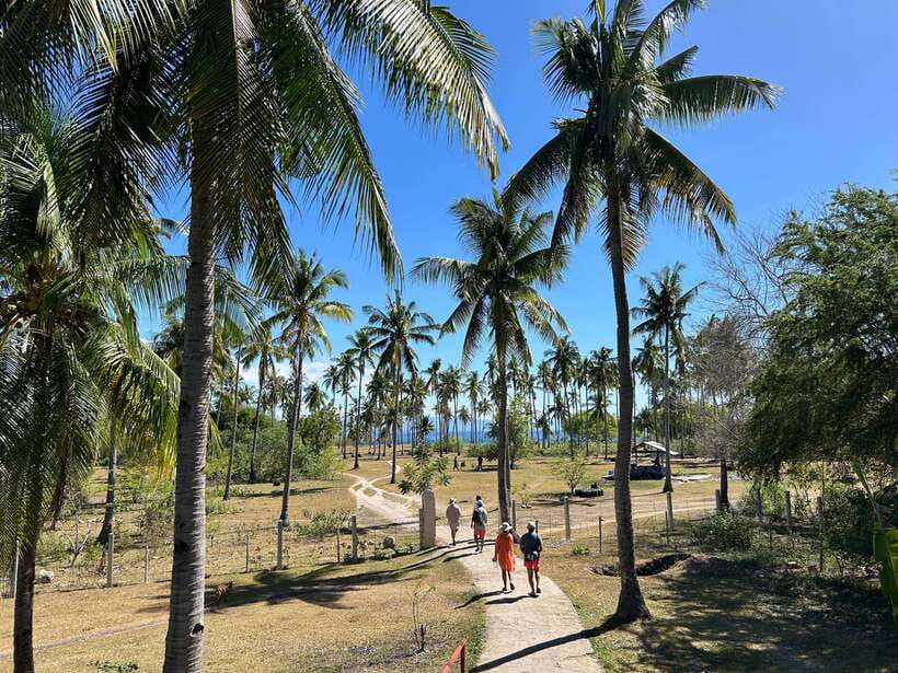 Pamilacan island: Dolphins, snorkel, lunch and walking tour - What the private format really adds
