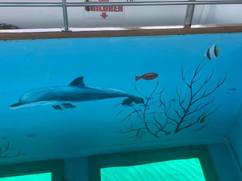 Paphos: Glass Bottom Boat Trip with Swimming or Snorkeling - The swim stop: clear water, fish, and a practical ladder