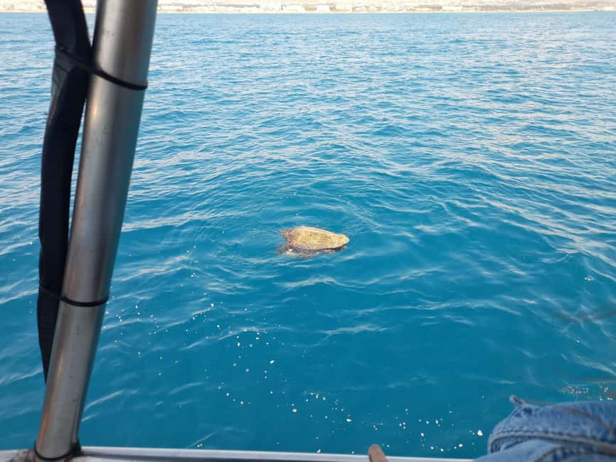 Paphos: The Yellow Glass-Bottom Boat Cruise Swim & Snorkel - Weather matters more than the price