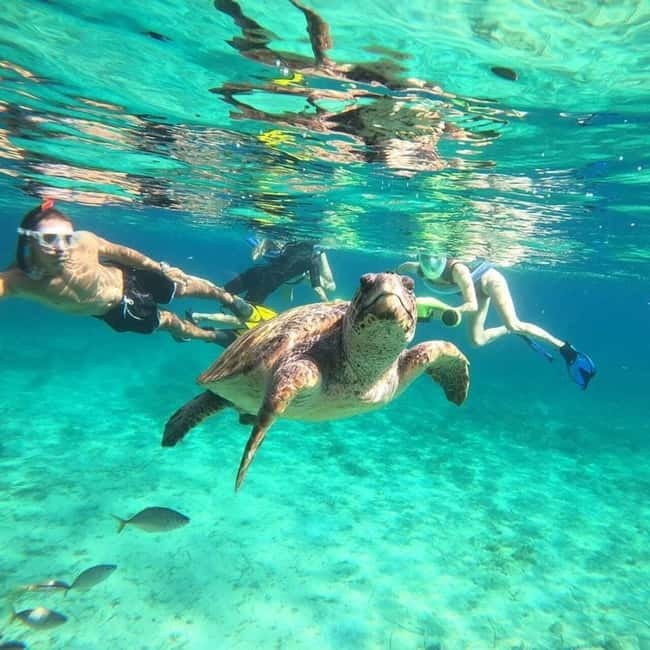 Paphos: Turtle-Watching Snorkeling Sea Scooter Trip - Key points to know before booking