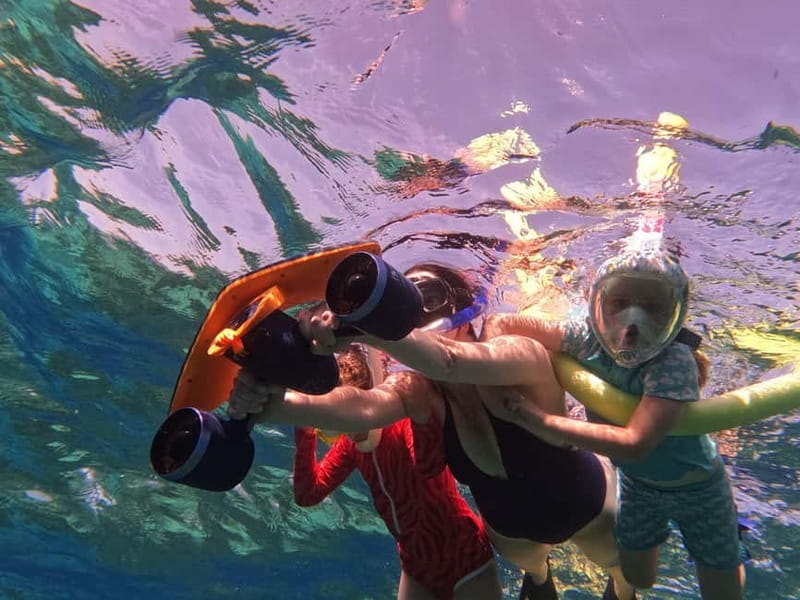 Paphos: Turtle-Watching Snorkeling Sea Scooter Trip - Choosing the best time of year