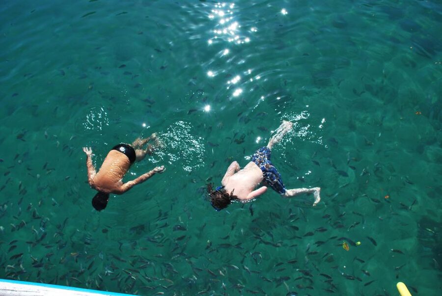 Paraty Bay: Islands & Beaches Boat Tour with Snorkeling - Should you book it?