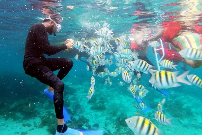 Party Catamaran: OpenBar, Music, Negril Beach, Caves, Snorkeling - Arriving at Rick’s Cafe by sea