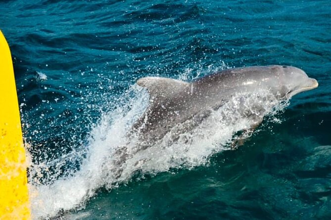 Party Catamaran: OpenBar, Music, Negril Beach, Caves, Snorkeling - Adults-only dates and family sailings