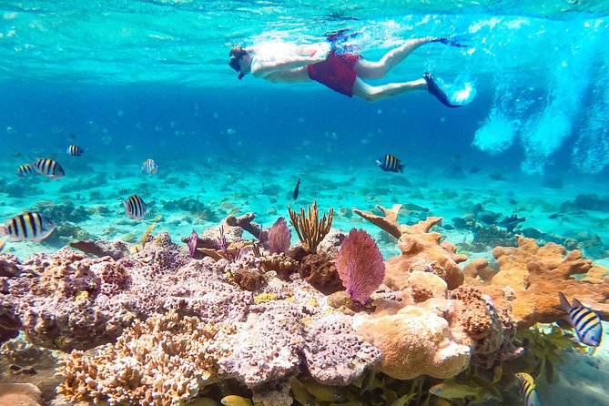 Pearl Island Bahamas Snorkeling Experience and Lunch - The ferry from Paradise Island