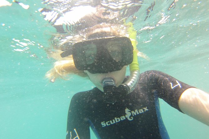 Pelican Rock Snorkeling and Sightseeing Adventure - What the beach stop is really like