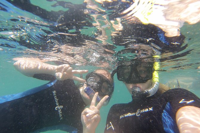 Pelican Rock Snorkeling and Sightseeing Adventure - Who will enjoy this Cabo outing most