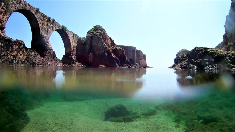 Peniche: Berlengas Island Catamaran Tour + Snorkeling - Is $40 good value?