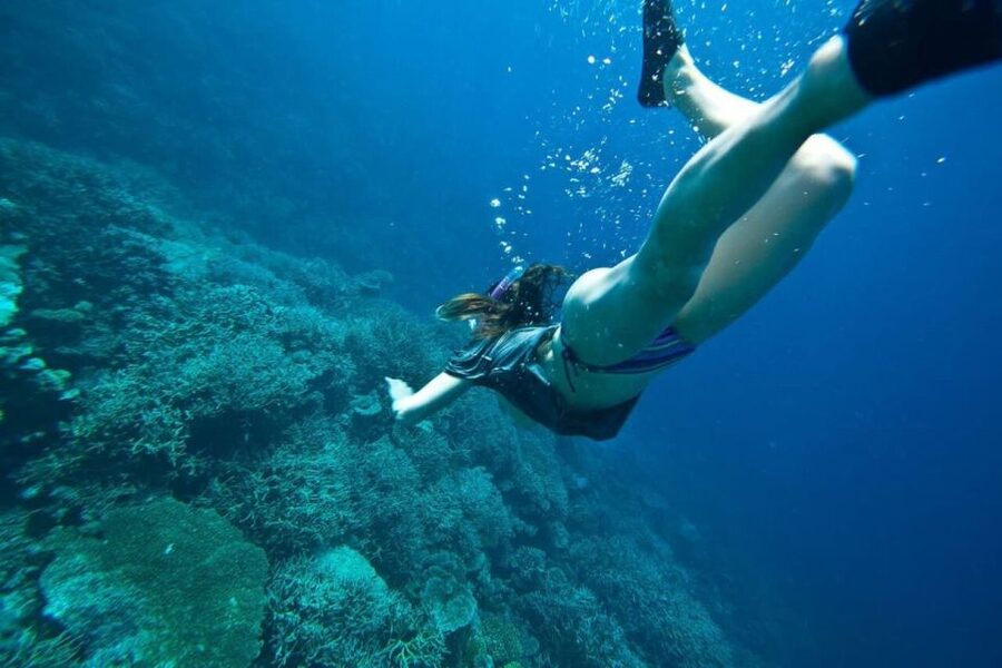 Peniche: Berlengas Island Caves Tour and Snorkeling - Why this four-hour Berlenga trip works well