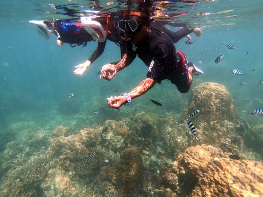 Phi Phi: Half-Day Phi Phi Snorkeling Trip by Longtail Boat - Maya Bay and the limits of paradise