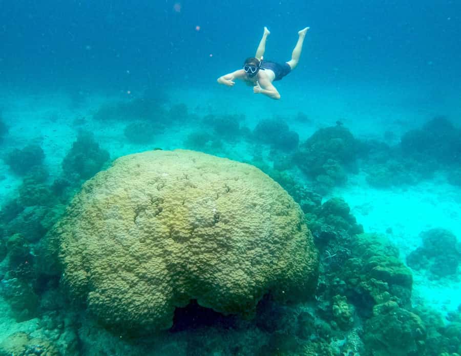 Phi Phi: Private Longtail Boat to Maya Bay with Snorkeling - Pileh Lagoon and the limestone coast