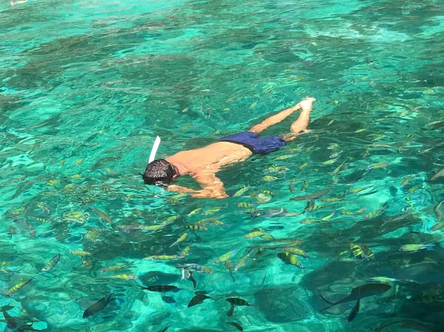 Phi Phi: Private Maya Bay Longtail Boat Tour with Snorkeling - Pileh Lagoon for swimming and snorkeling
