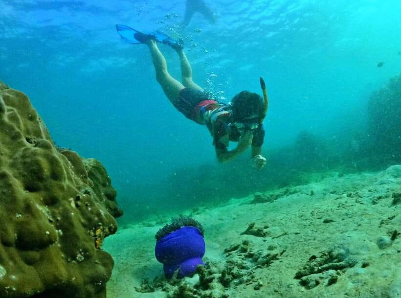 Phu Quoc Small-group Snorkeling to the Coral Jungle Reef - Best time to go and what to pack
