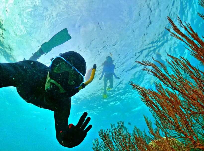 Phu Quoc Small-group Snorkeling to the Coral Jungle Reef - Why this trip feels different from a standard Phu Quoc boat outing
