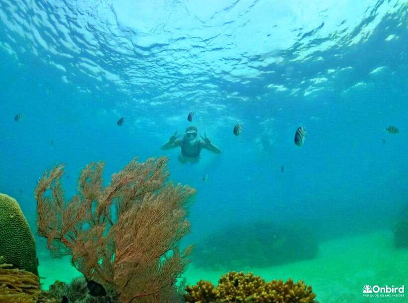 Phu Quoc Small-group Snorkeling to the Coral Jungle Reef - Robinson Island and the tide question