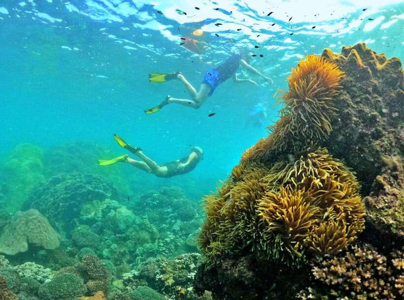Phu Quoc Small-group Snorkeling to the Coral Jungle Reef - The final beach, fruit, drinks, and sunset