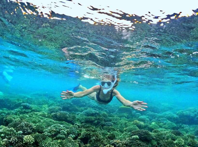 Phu Quoc Small-group Snorkeling to the Coral Jungle Reef - Who should book this snorkeling trip