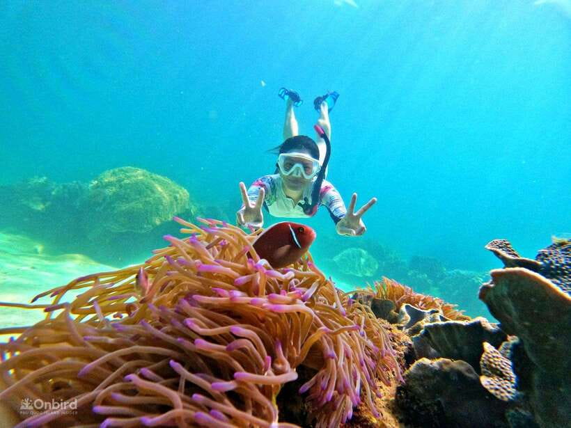Phu Quoc: Speed Boat Tour 4 Islands - 2 Reefs Snorkeling - Key points before you book