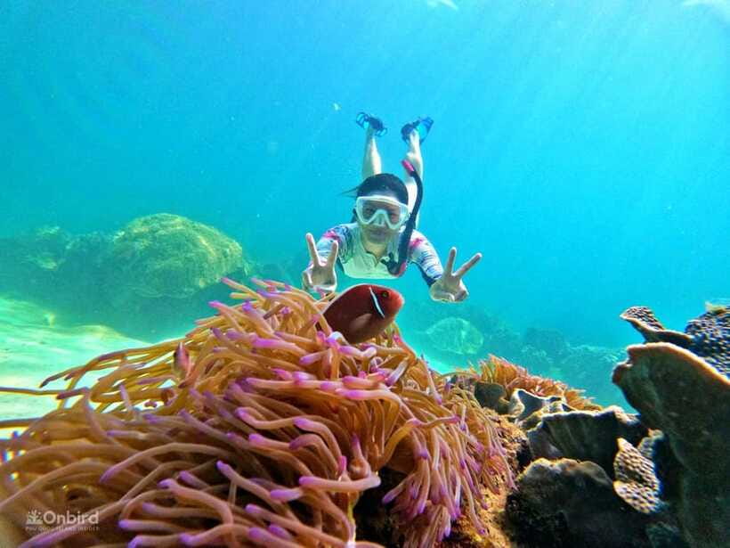 Phu Quoc: Speed Boat Tour 4 Islands - 2 Reefs Snorkeling - Equipment and environmental standards