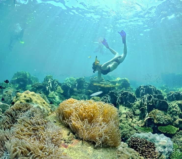 Phu Quoc Speedboat Pro Snorkeling: 4 Islands-2 Reefs & Meal - Key points to know before booking
