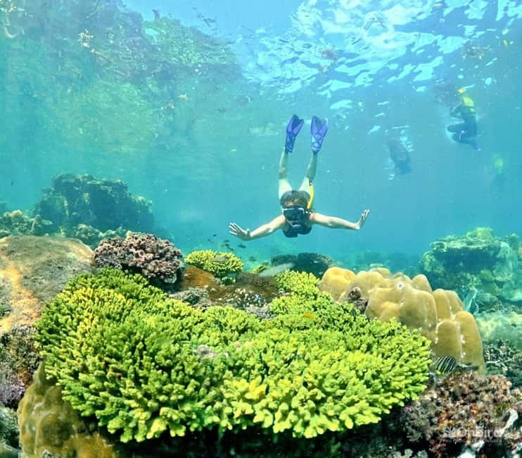 Phu Quoc Speedboat Pro Snorkeling: 4 Islands-2 Reefs & Meal - Stop four: beach chairs, fruit, and a pause