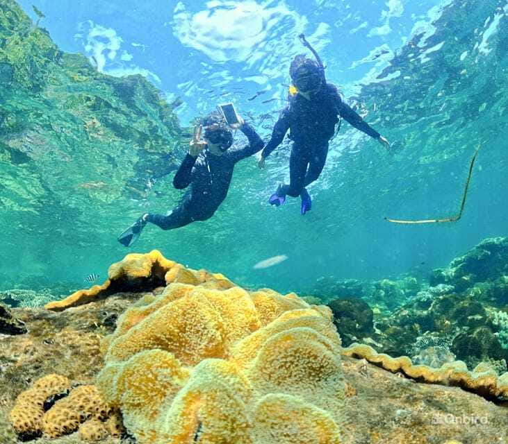 Phu Quoc Speedboat Pro Snorkeling: 4 Islands-2 Reefs & Meal - The guides and the way the day is run