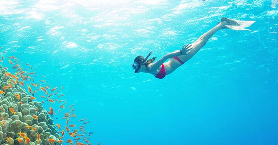Phu Quoc: Speedboat Tour of 4 Islands with Snorkeling & BBQ - Key points to know before booking
