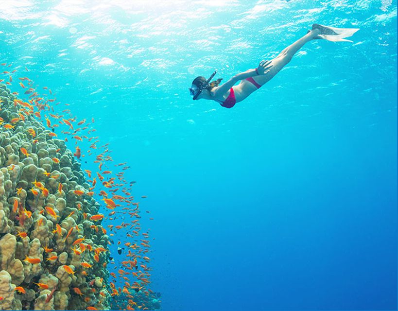 Phu Quoc: Speedboat Tour of 4 Islands with Snorkeling & BBQ - Kim Quy Island: the first hour in the water