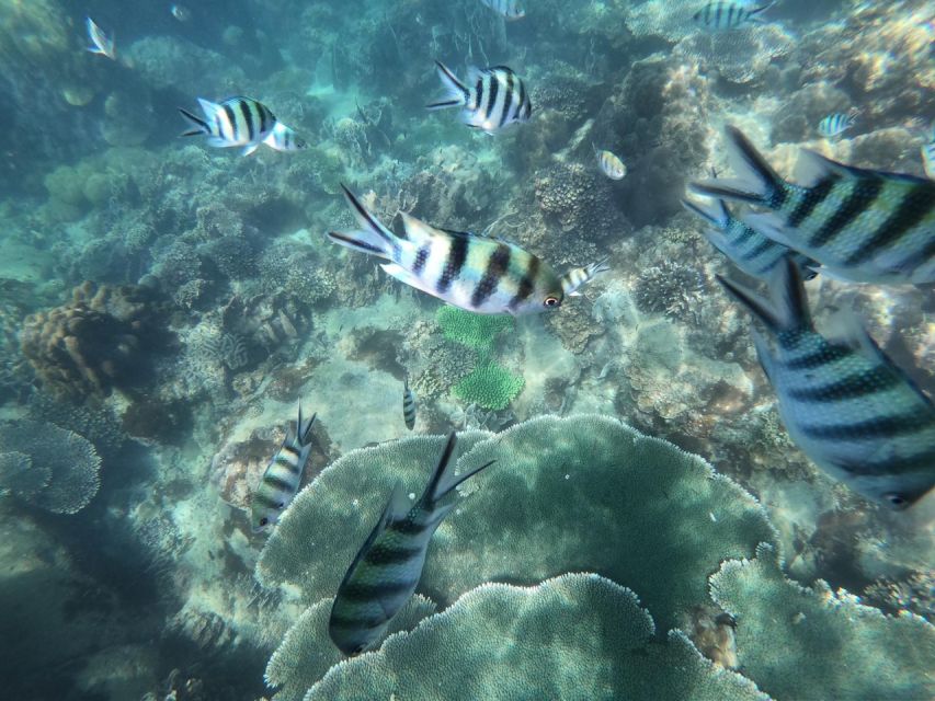 Phu Quoc: Speedboat Tour of 4 Islands with Snorkeling & BBQ - Fingernail Island: a short break before lunch